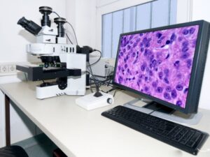 Bellingham Advanced Medical Imaging: Comprehensive Guide