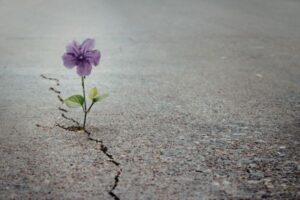 The Chain of Survival: Why Early Action Saves Lives