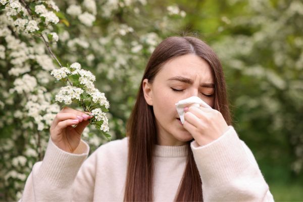 seasonal allergy relief